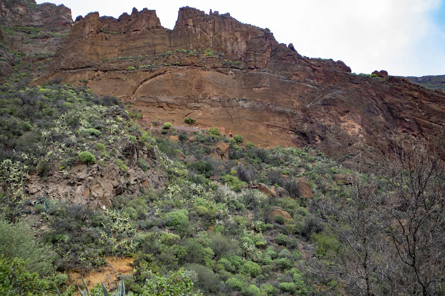 Los escarpados acantilados bordean el Barranco de Guayadeque - aquí: Sepultura de Gigante