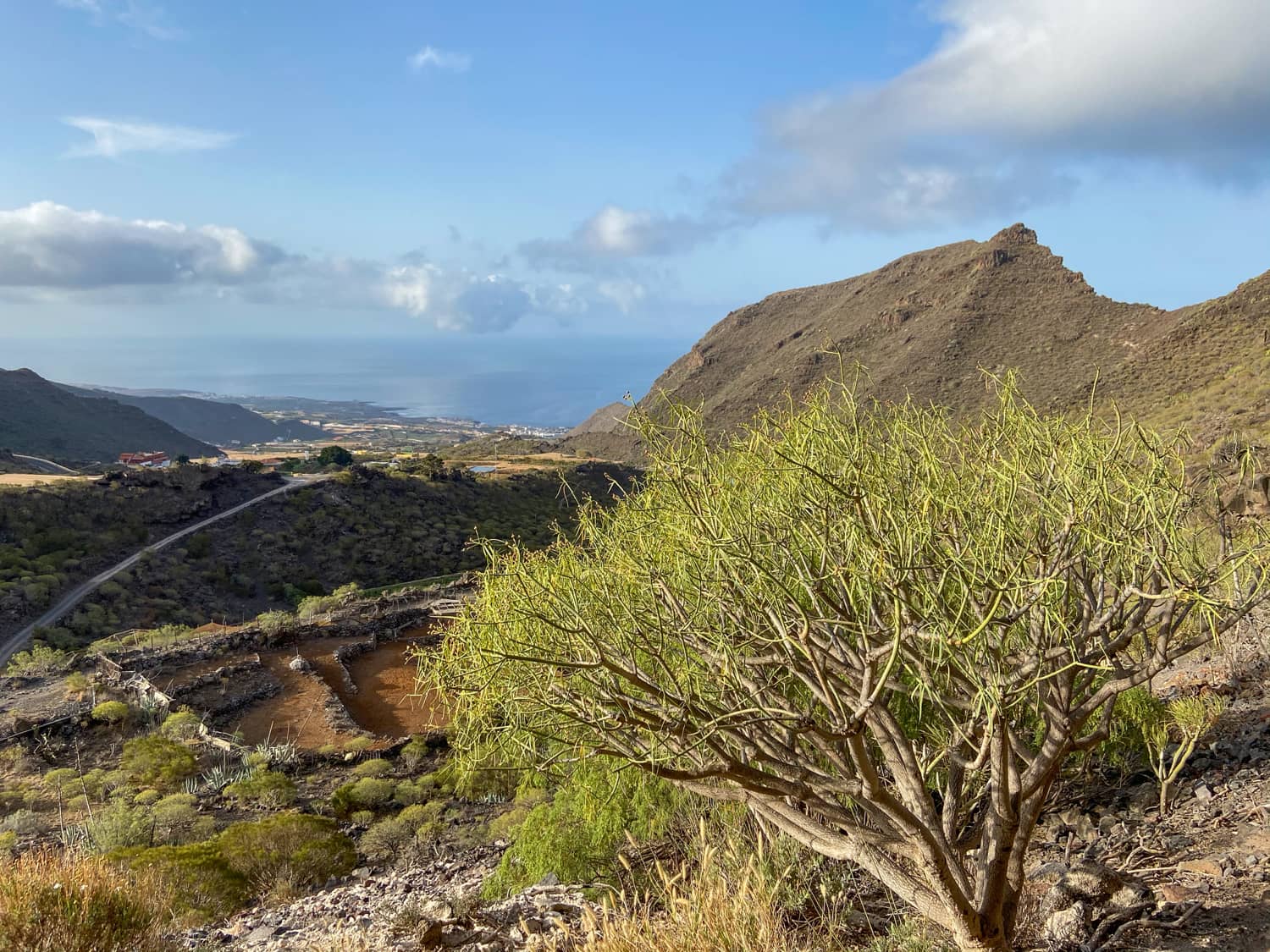 View from the upper Tamaimo Tunnel into the Barranco Santiago and to the coast