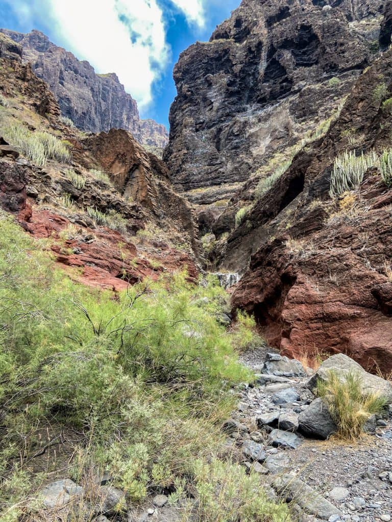 im unteren Abschnitt des Barranco Natero