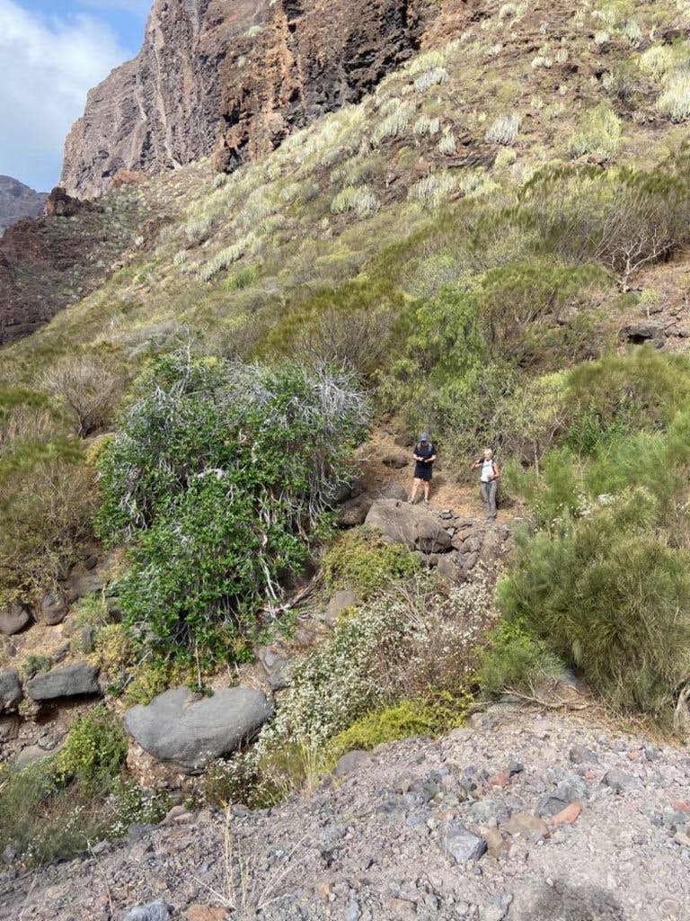 Hikers in the Barranco Natero