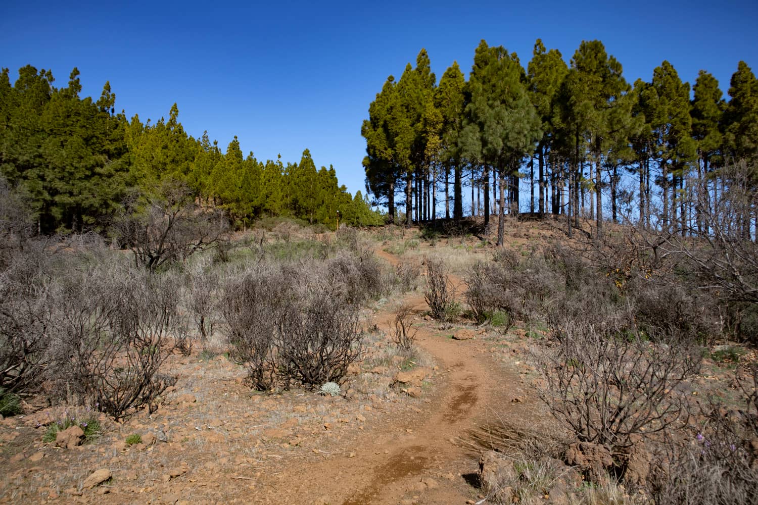 Hiking trail near the Embalse de Cuevas Blancas