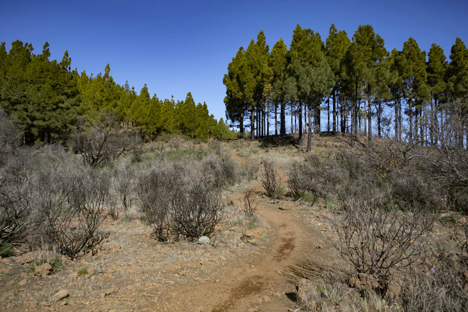 Hiking trail near the Embalse de Cuevas Blancas