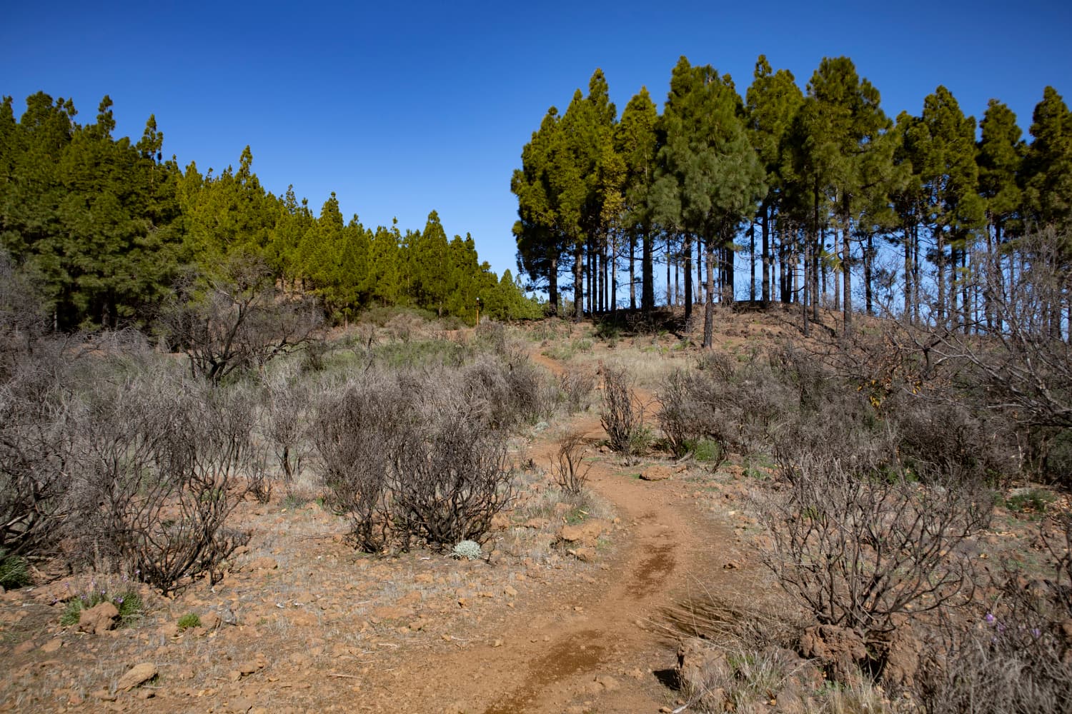 Hiking trail near the Embalse de Cuevas Blancas