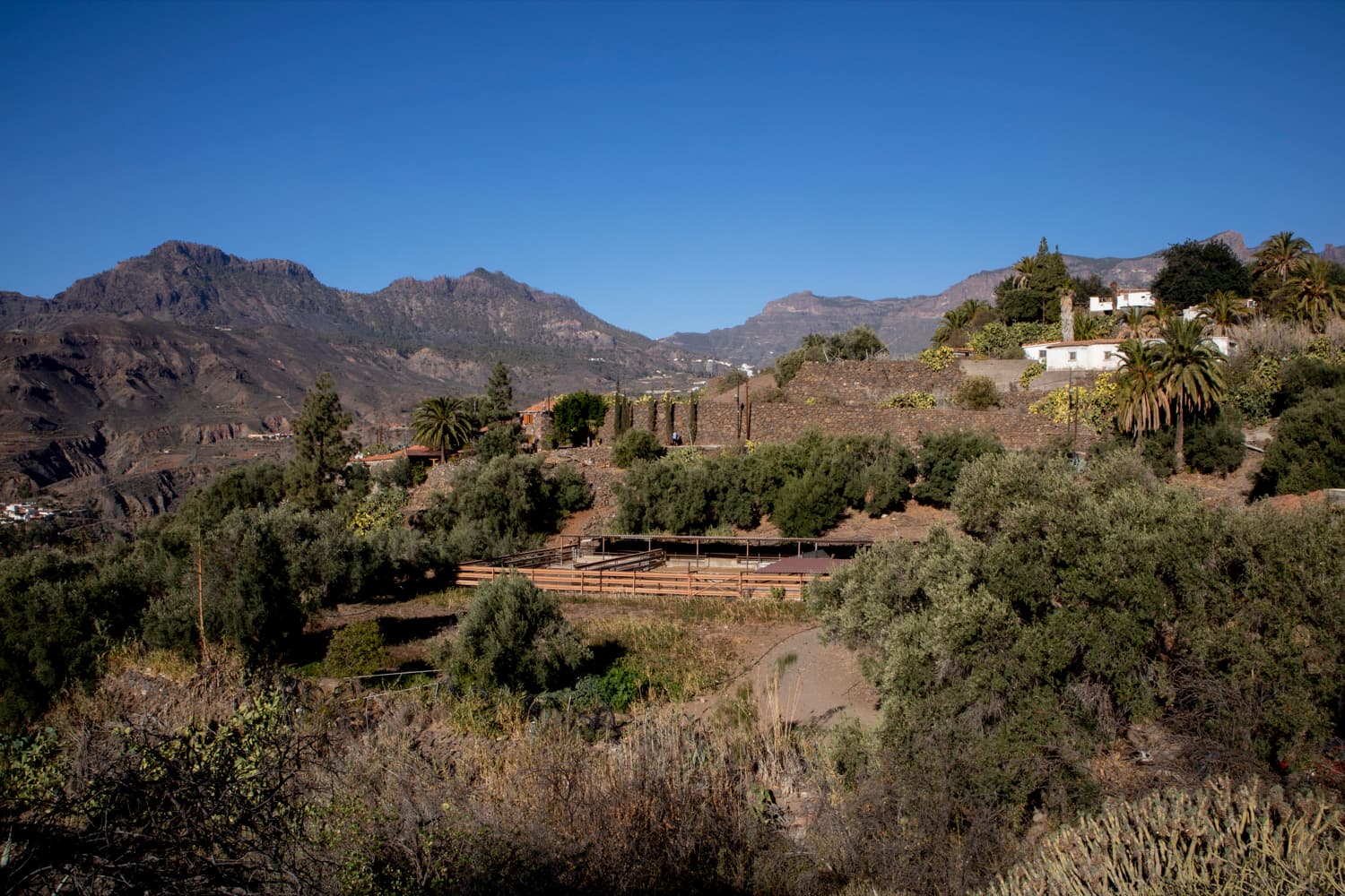 Paisaje de arbustos con Fincen debajo de Santa Lucía