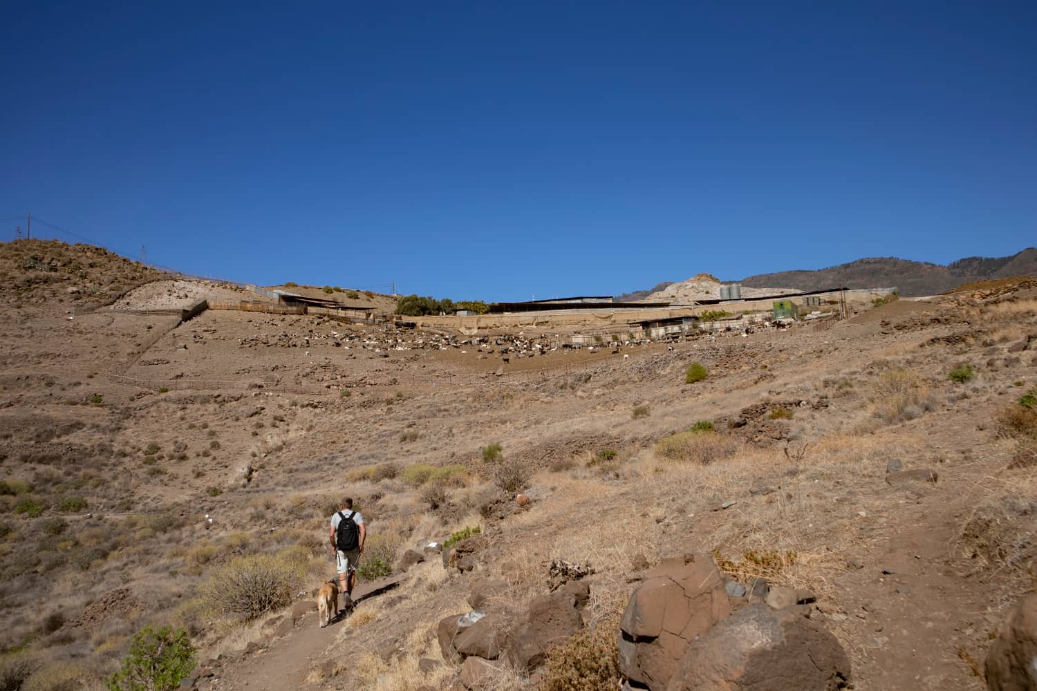 Wanderweg unterhalb einer großen Ziegenfarm zwischen La Sorrueda und Santa Lucia