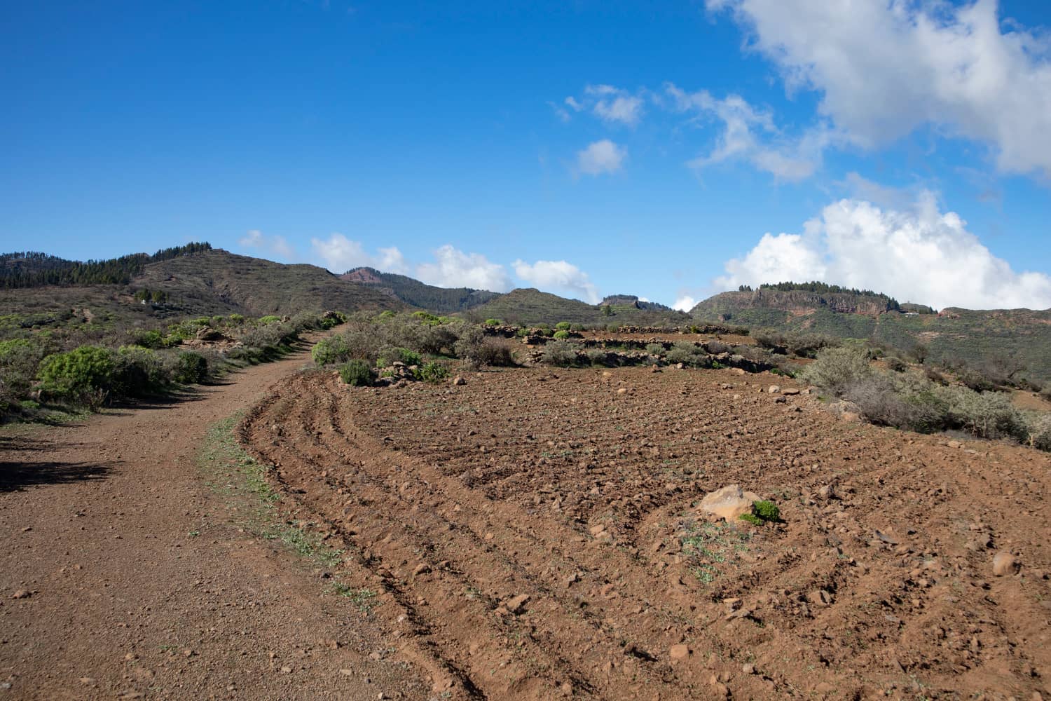Hiking trail in the height above the Barranco de Guayadeque