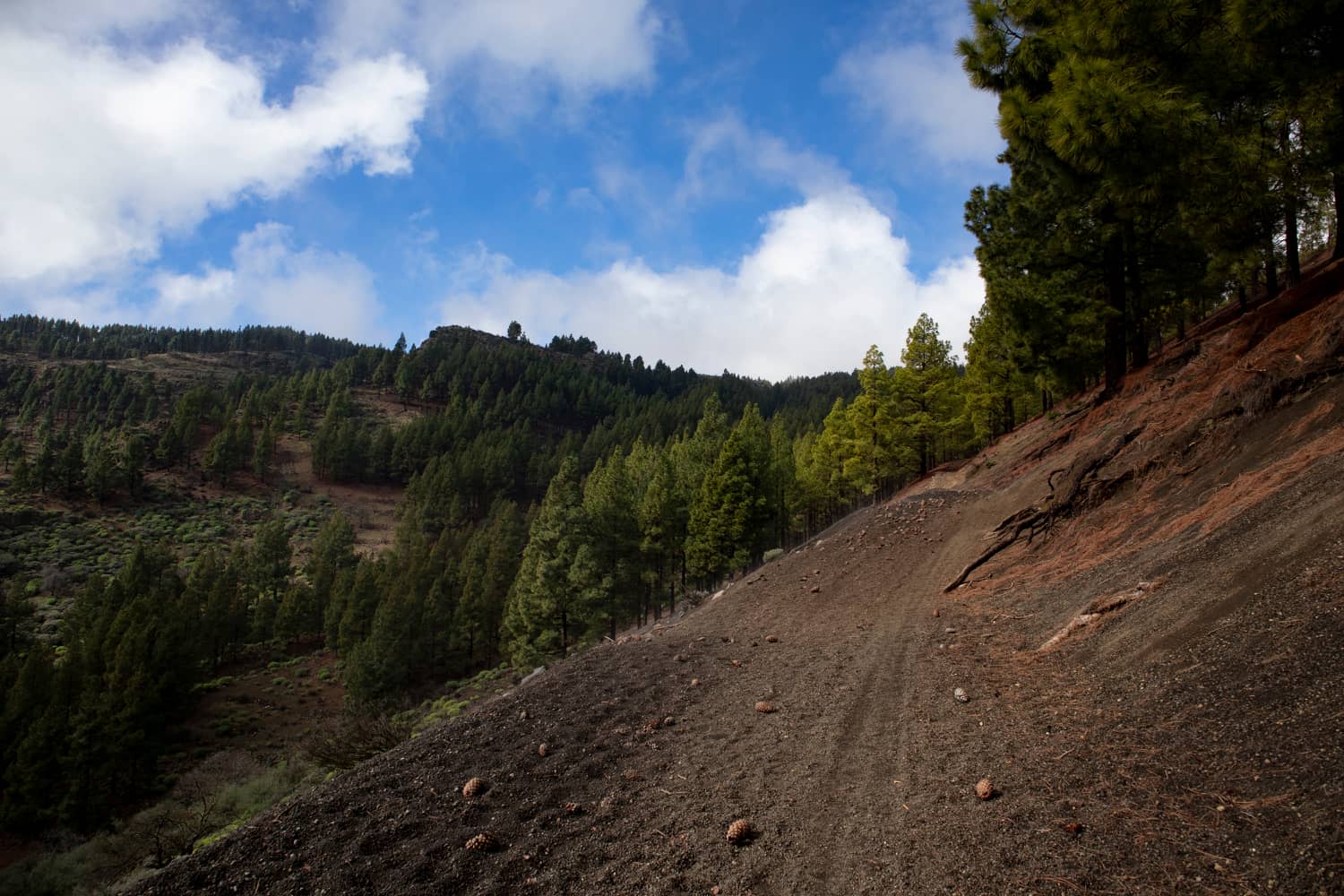 Hiking trail on the slopes of the Caldera de los Marteles