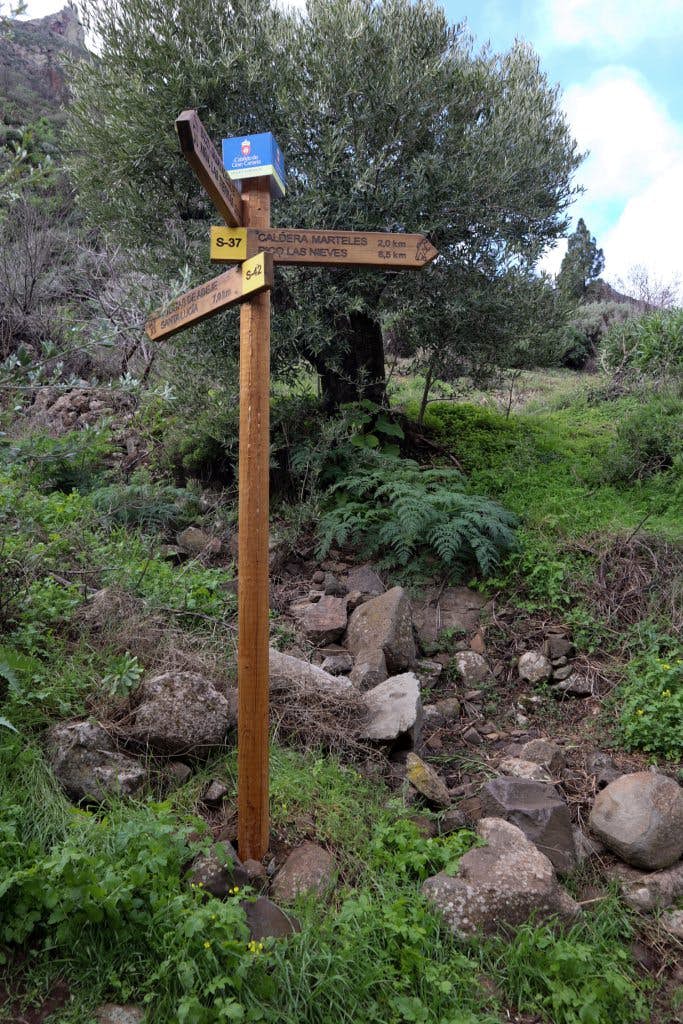 Hiking crossroads in the Barranco de Guayadeque - Cruce del Olivio