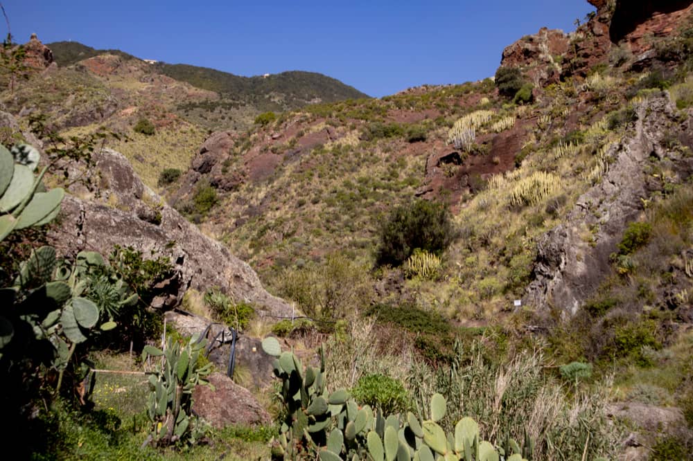 View up from the hiking trail to the Cumbre