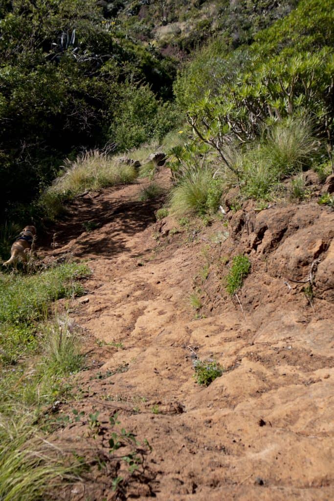 Ruta de senderismo del Valle Brosque