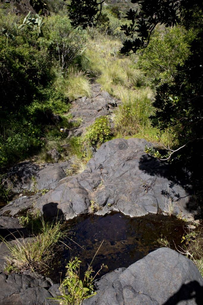 Wasser und Felsen im Barranco Grund