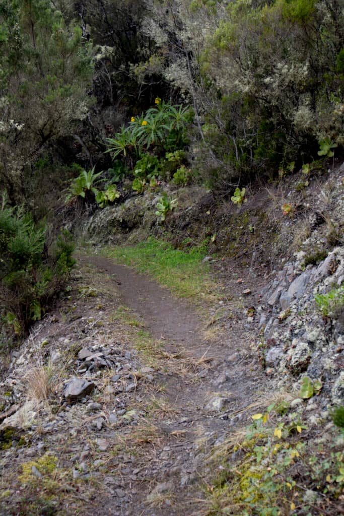 Hiking trail up to the Casa Forestal