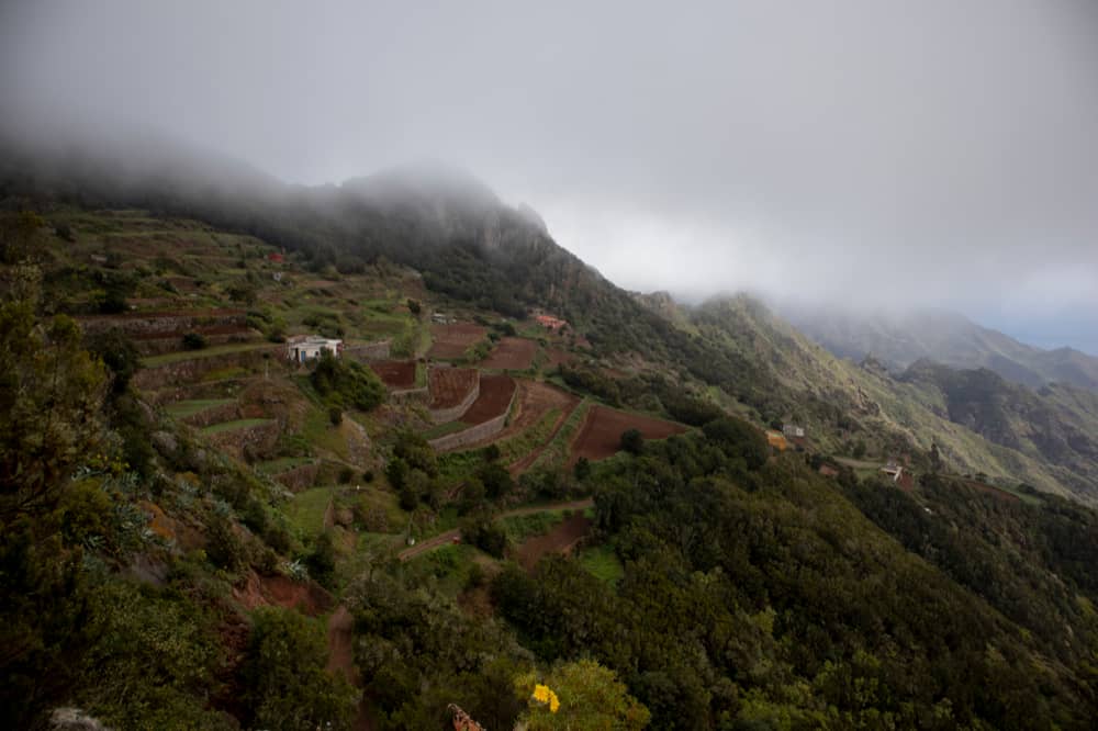 Campos en terrazas en las laderas de las montañas