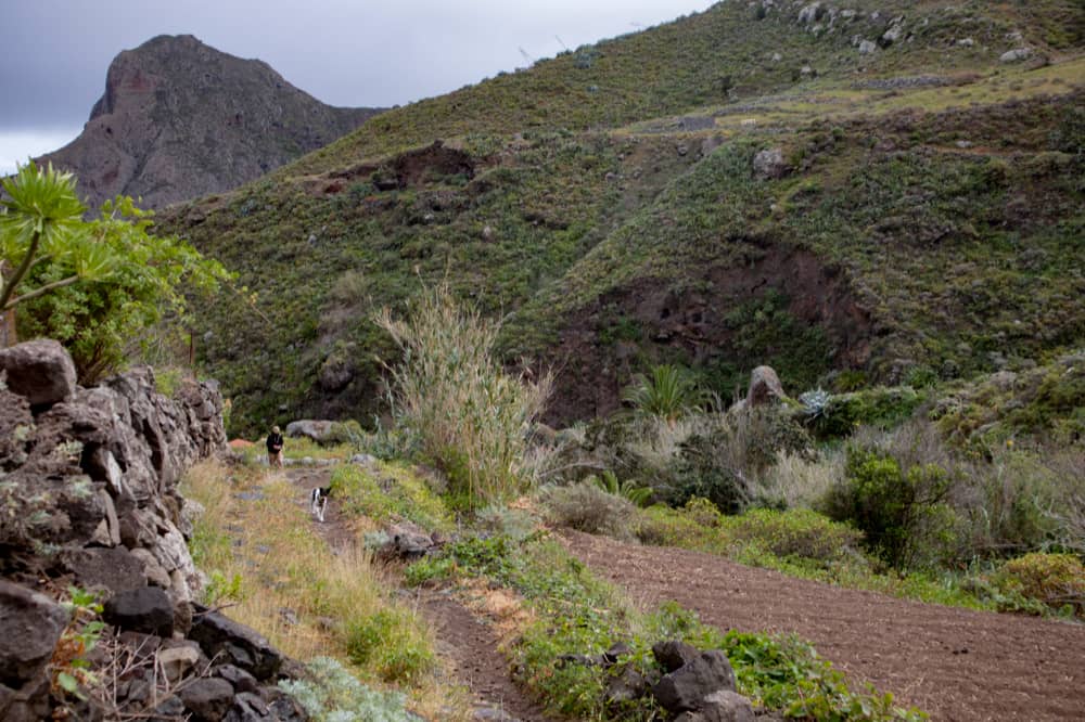 Hiking trail along the Anaga Hight Road