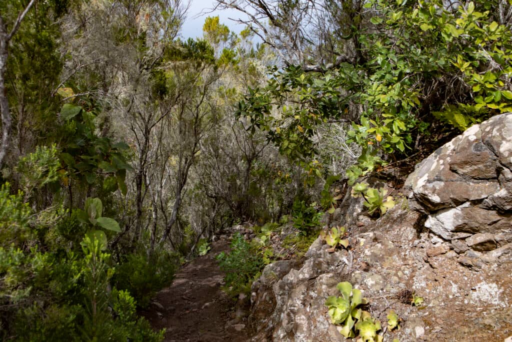 Ruta de senderismo por la cresta de la montaña