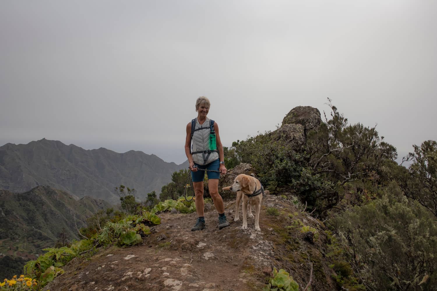 auch Lasko kann mit seinen 12 Jahren immer noch gut mitwandern