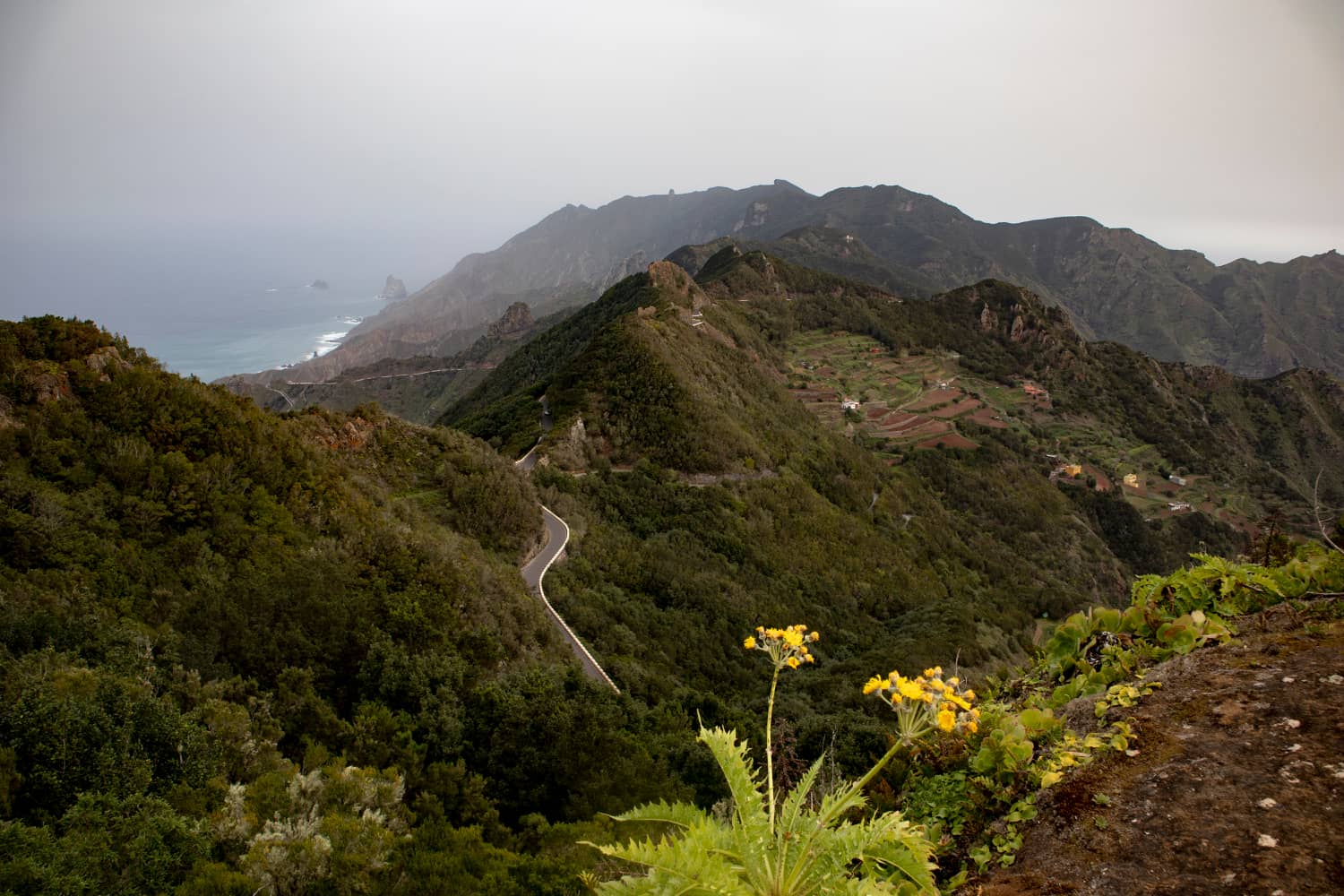 Vista hacia la carretera y la costa