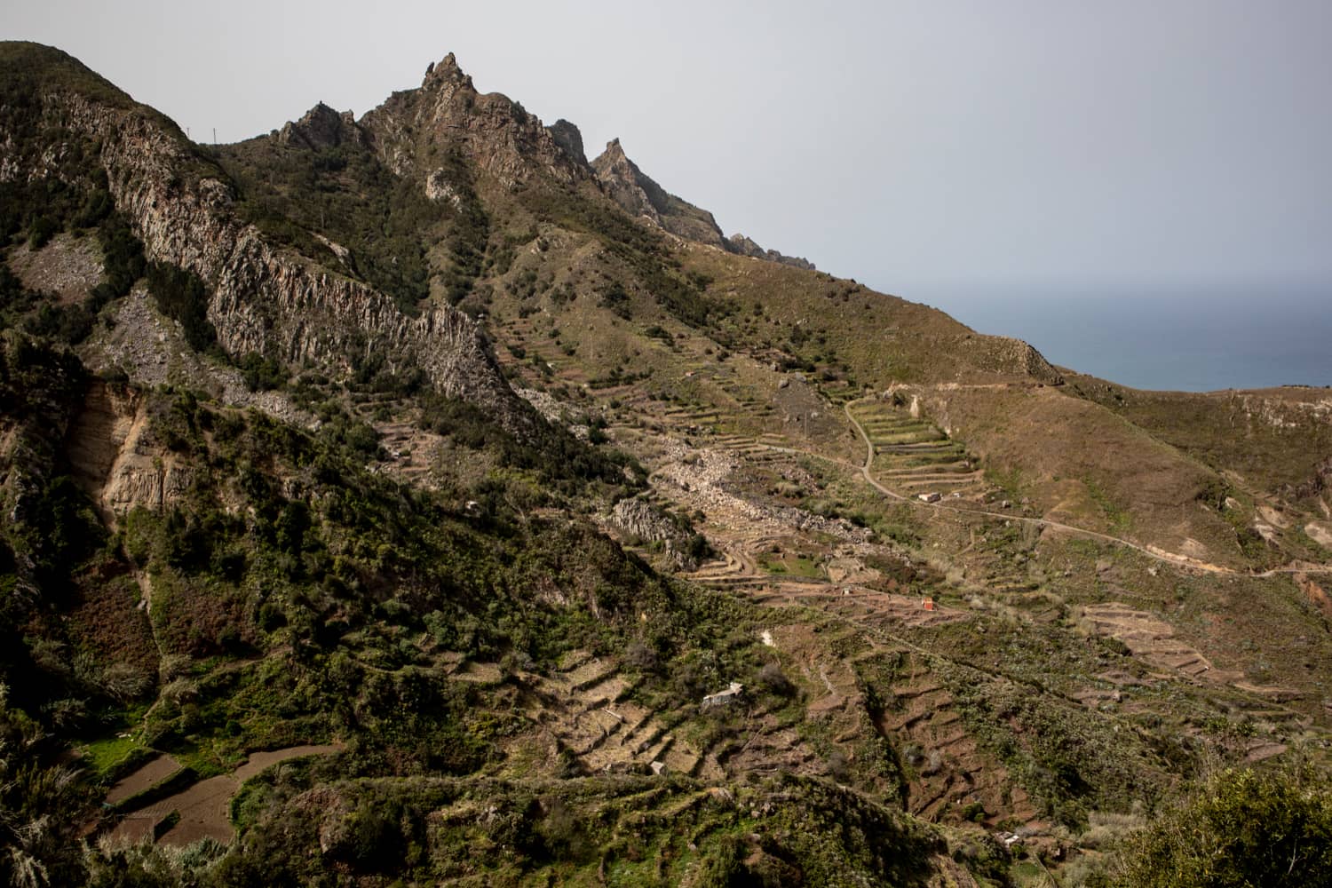 Vista de los campos en terrazas sobre Taganana