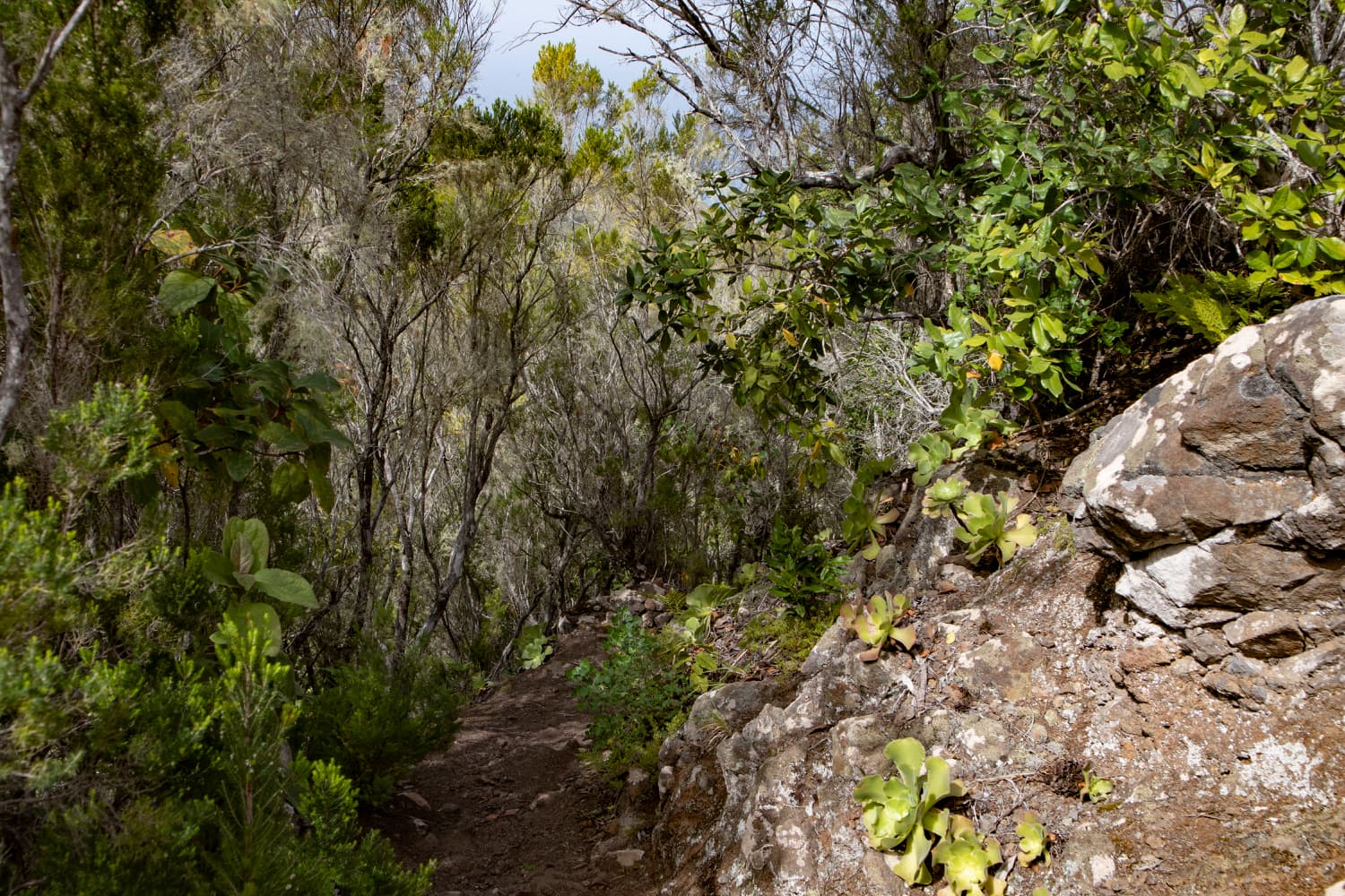 Hiking path down over the mountain ridge