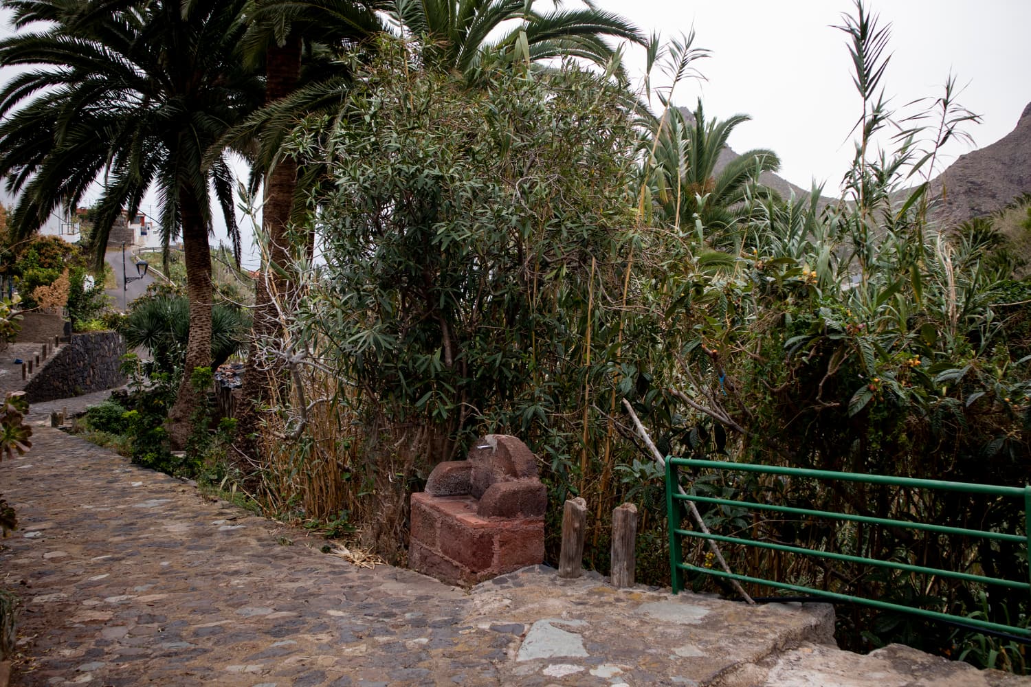 Hiking trail near Taganana - start of the ascent