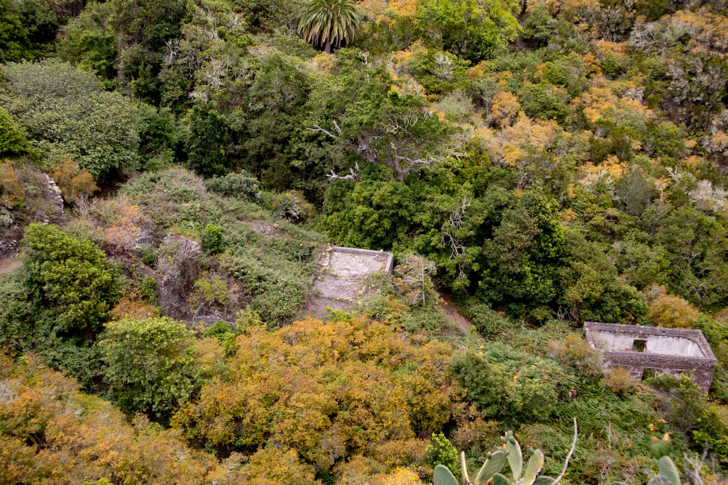 View of the village Cuevas Negras from the height