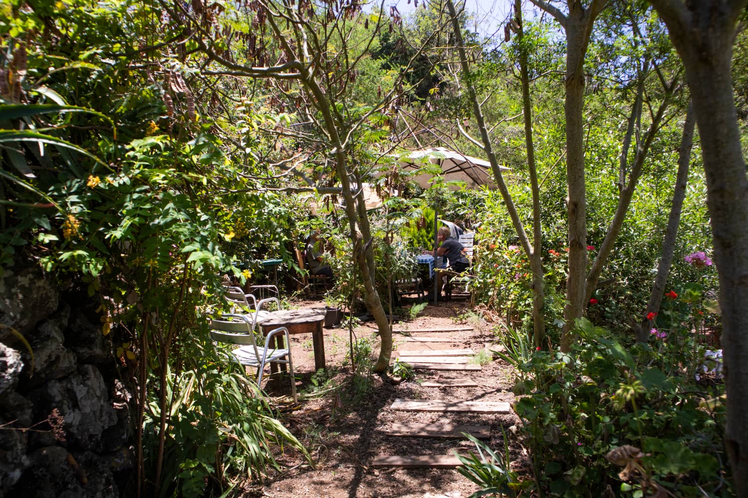 Café en el Verde en Erjos