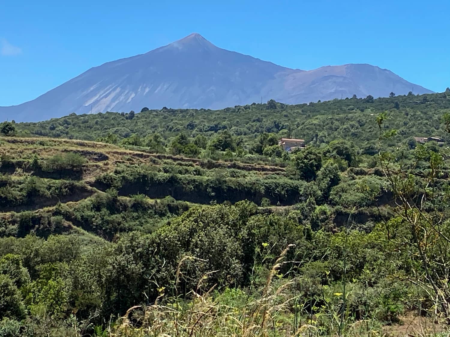 View of the Teide from the hiking trail