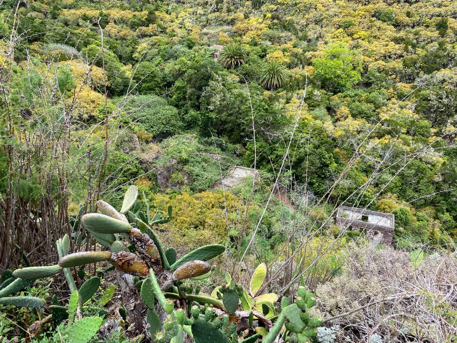 Vista del pueblo de Cuevas Negras desde las alturas