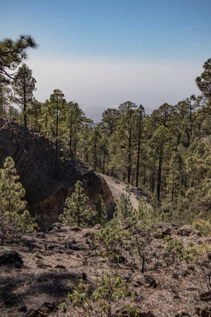 Forest path with views of the east coast of Tenerife