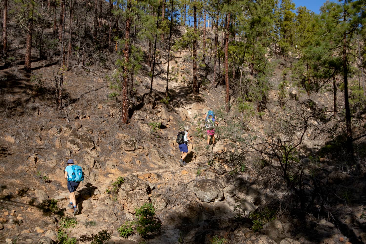 uphill on narrow paths