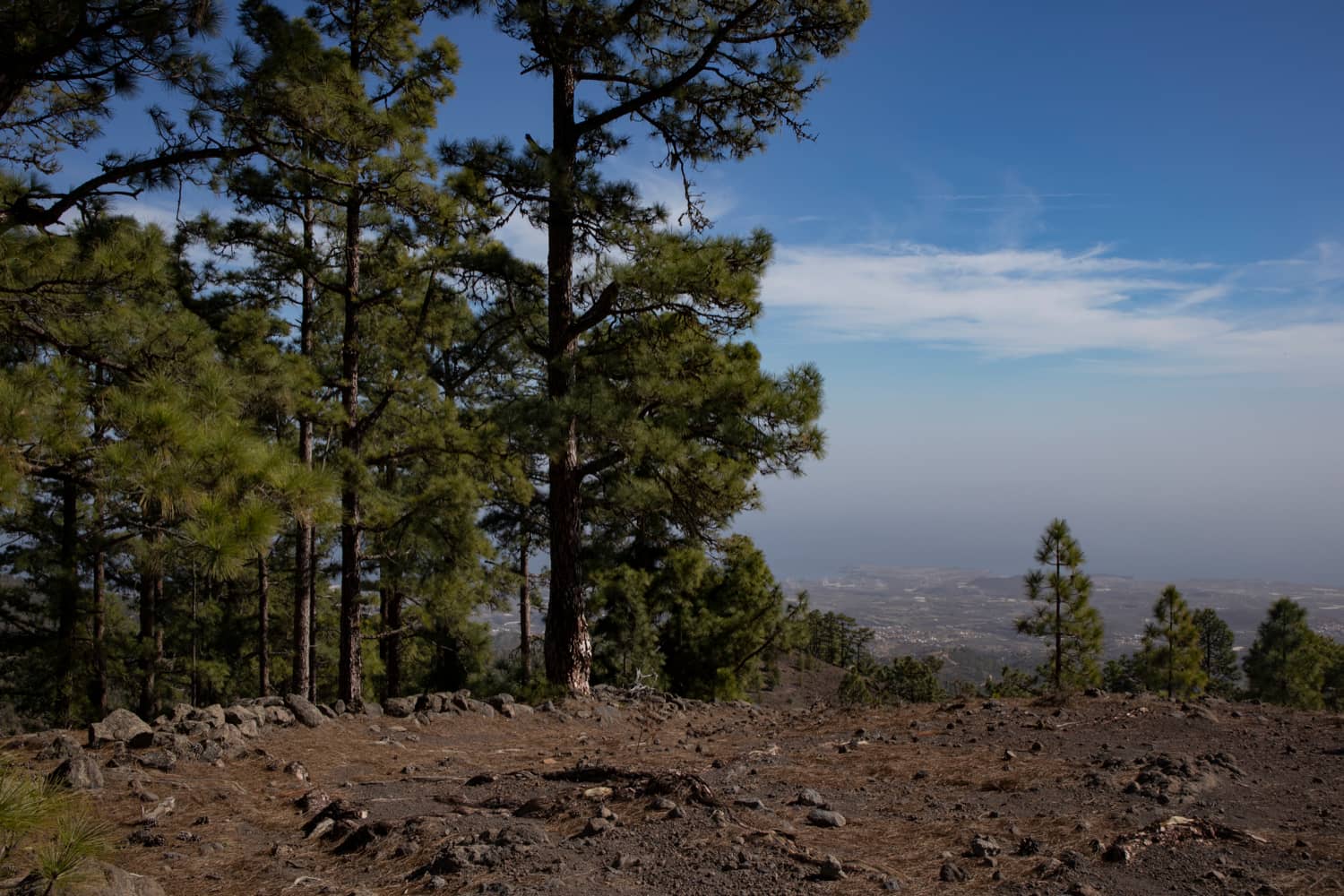 Blick hinunter auf die Ostküste von Teneriffa