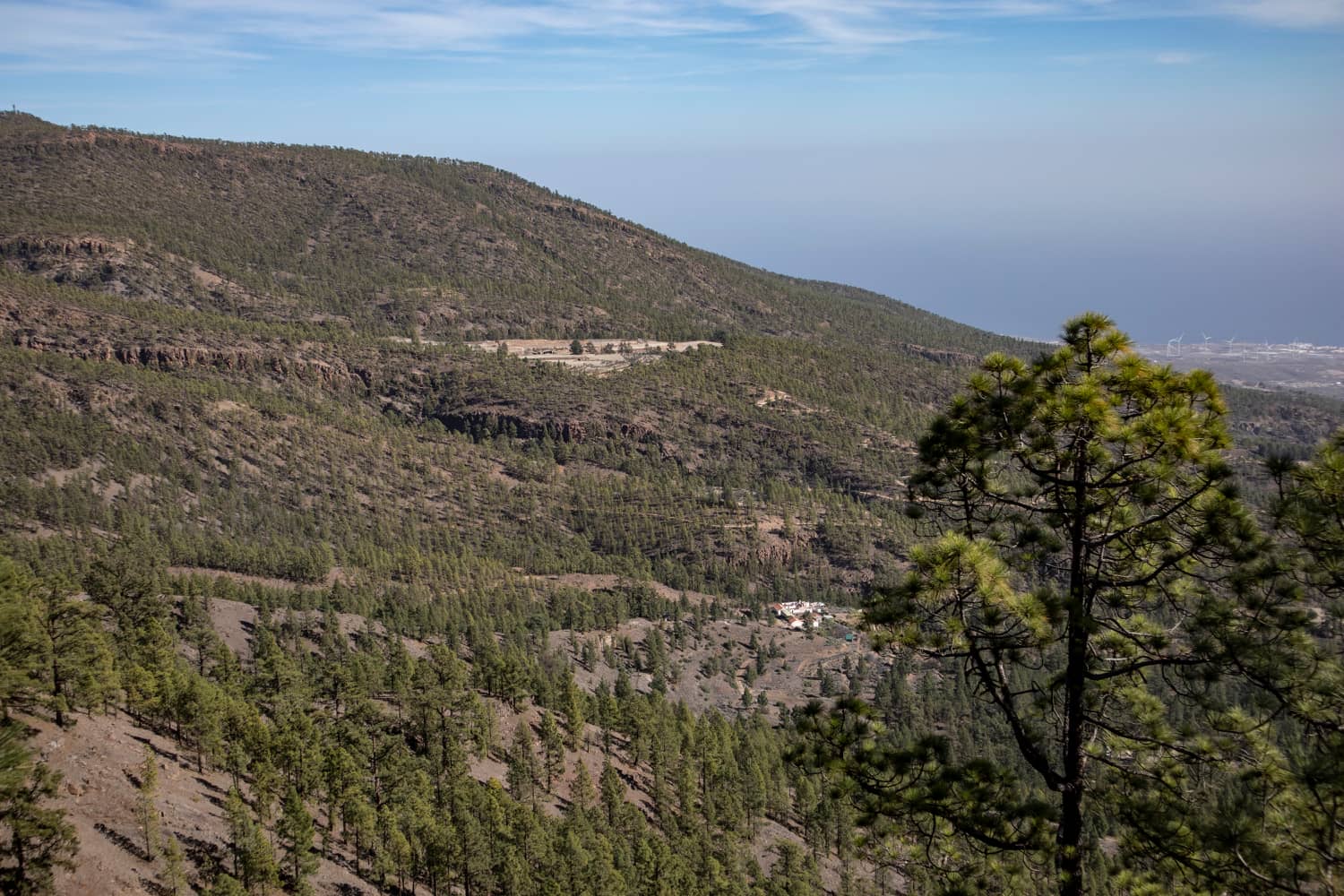 View over the slopes of the east coast of Tenerife