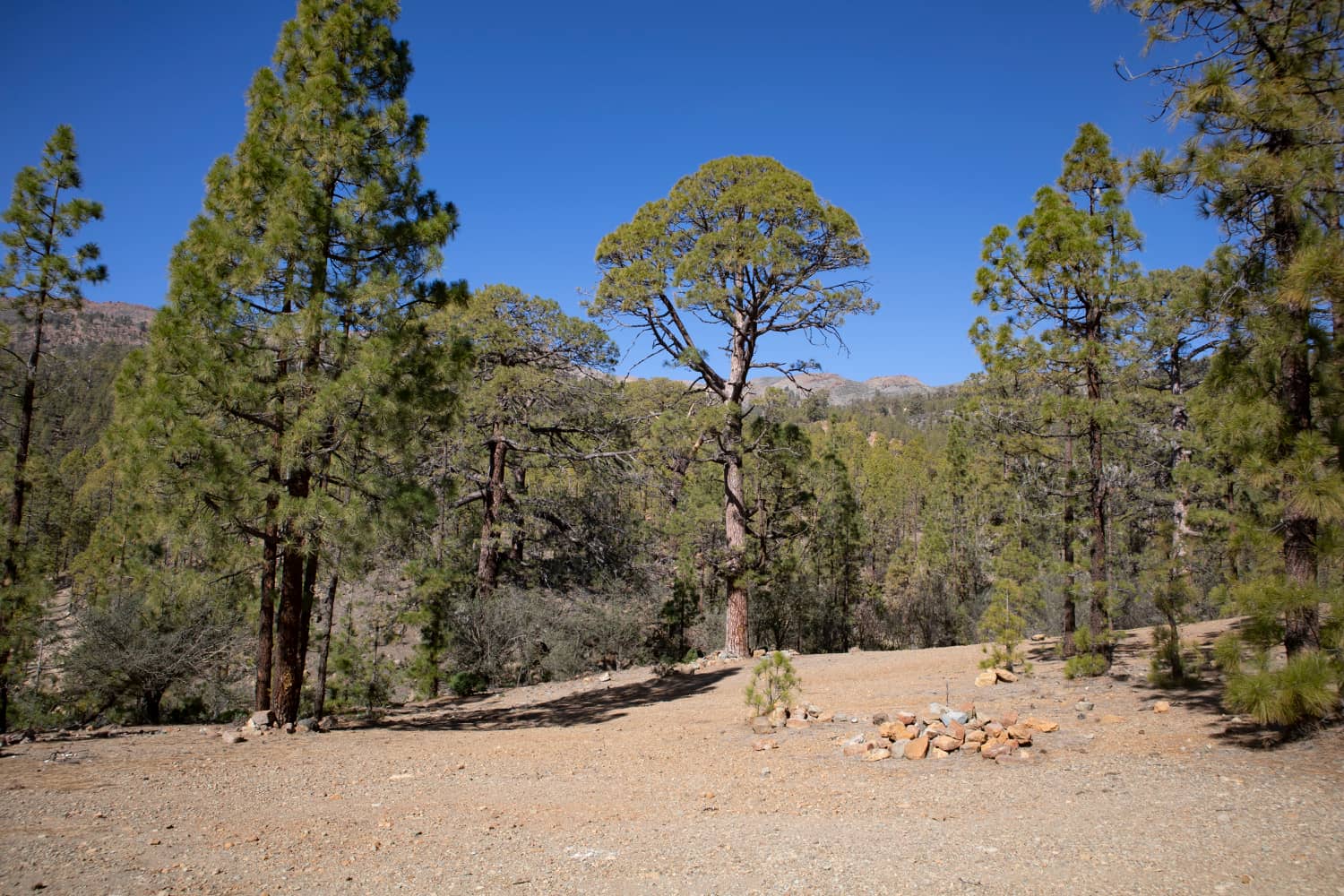 View of the back of the cañadas