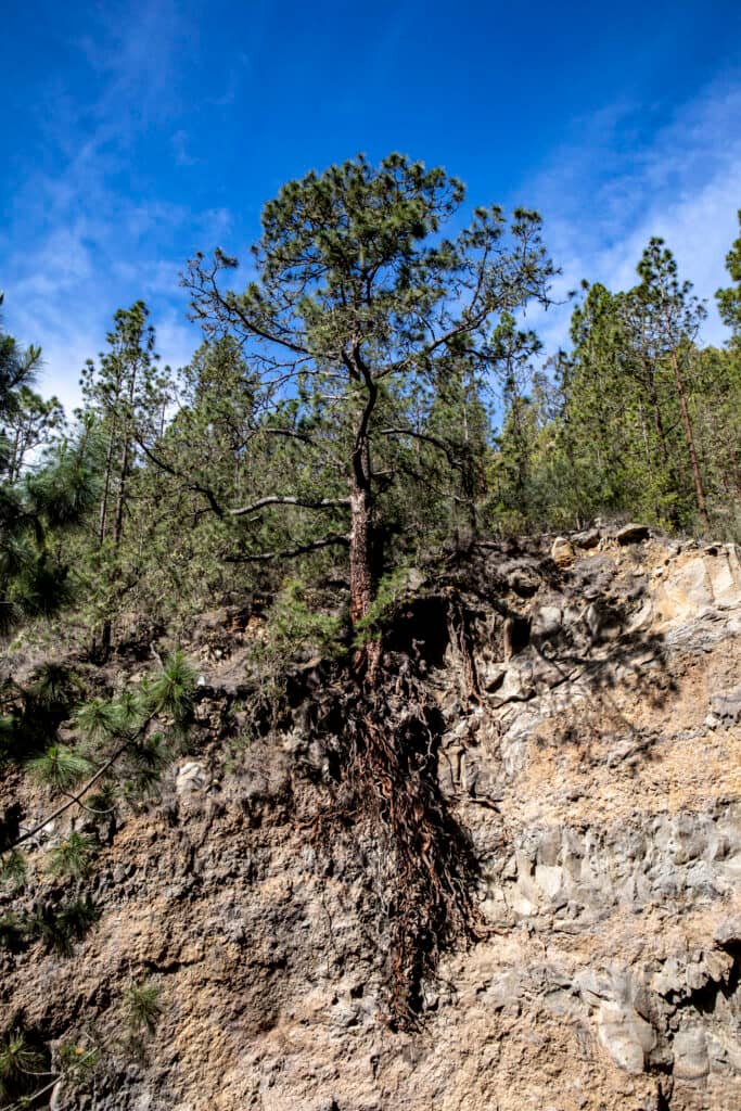 Barranco del Río