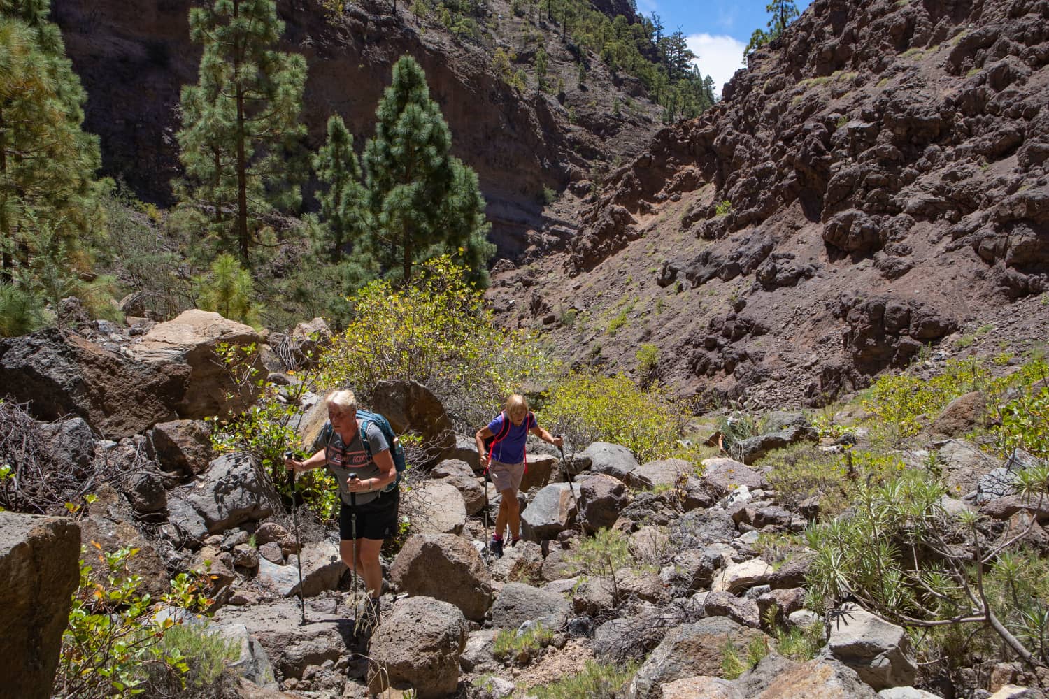 Barranco del Río - Subida al valle lateral intransitable