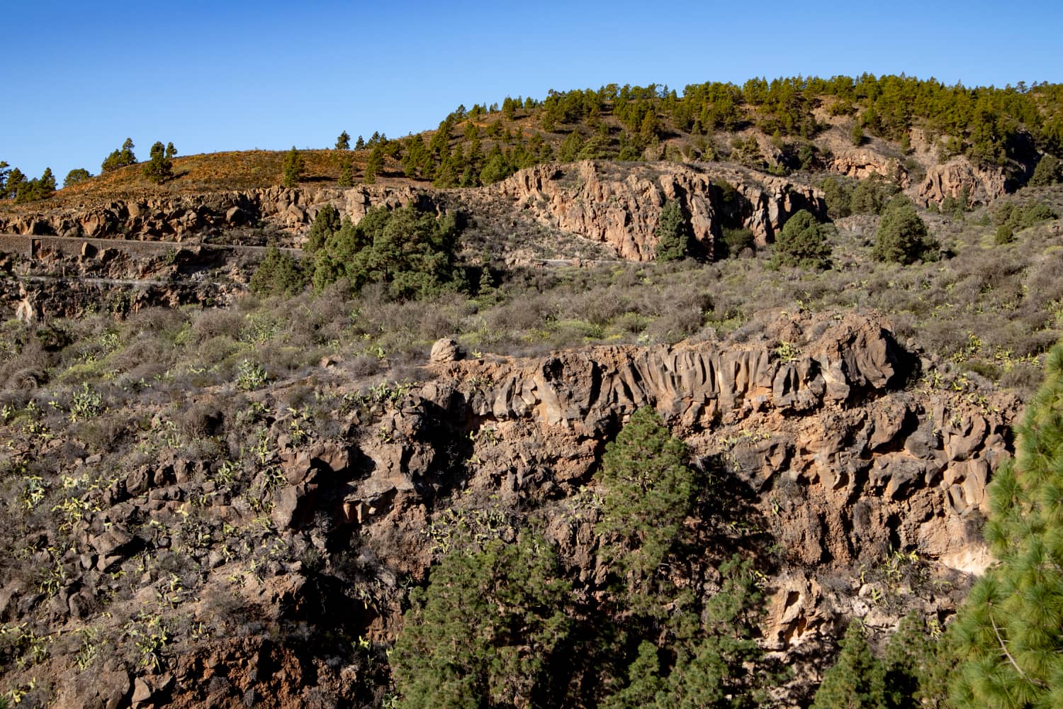 Gargantas, pinares y canales de agua dominan el paisaje