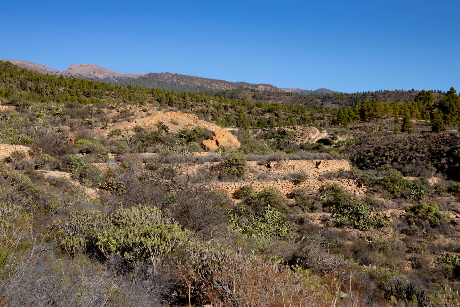 el paisaje del este de la isla se caracteriza por la roca blanca