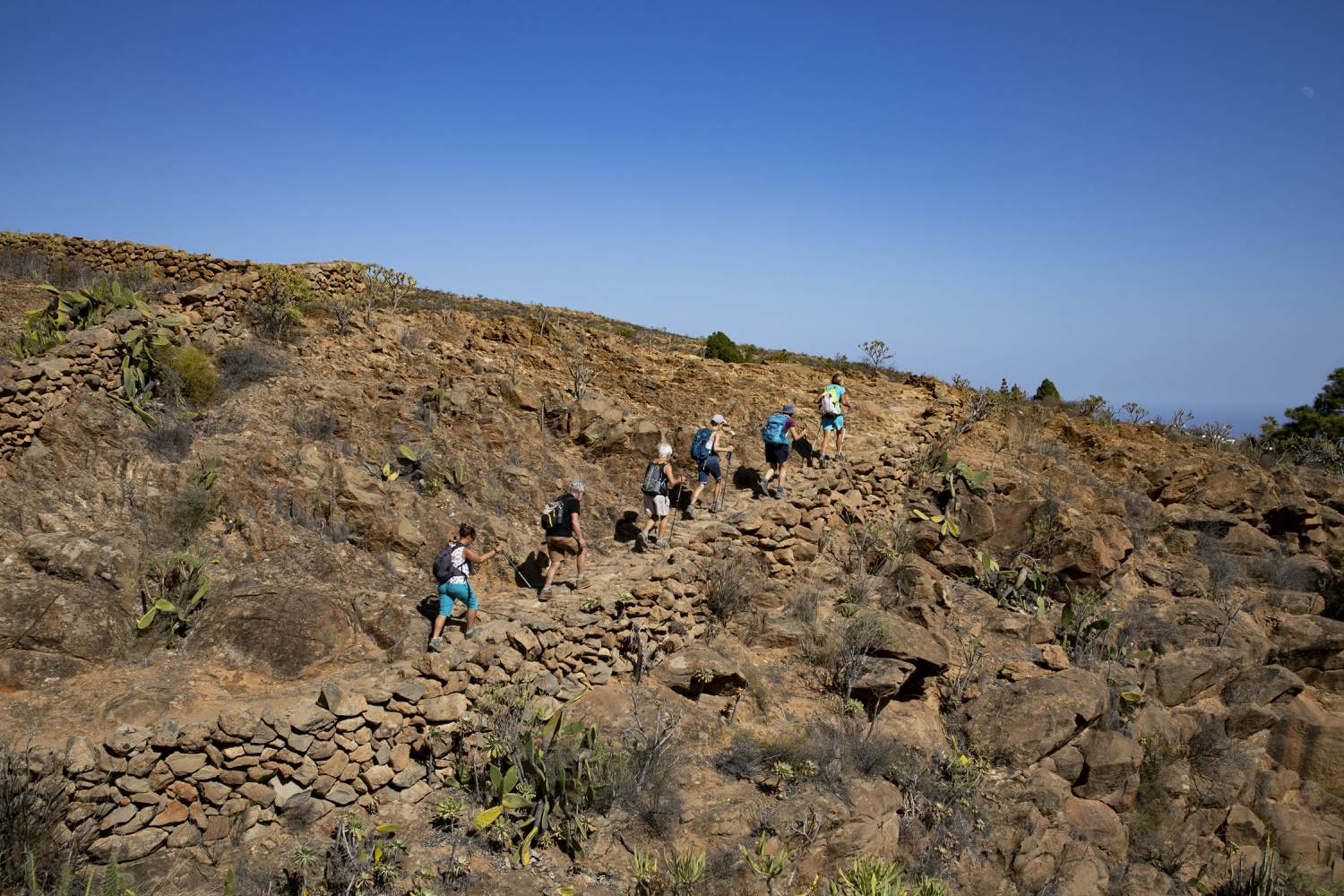Ascent in the Barranco
