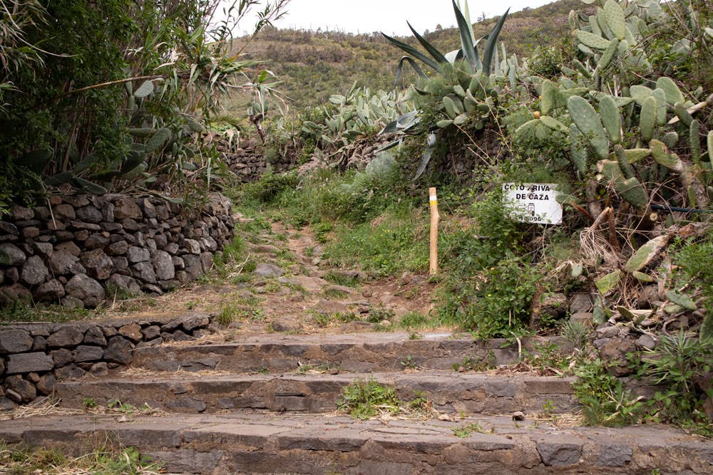 Entry hiking trail to the Mesa de Tejina