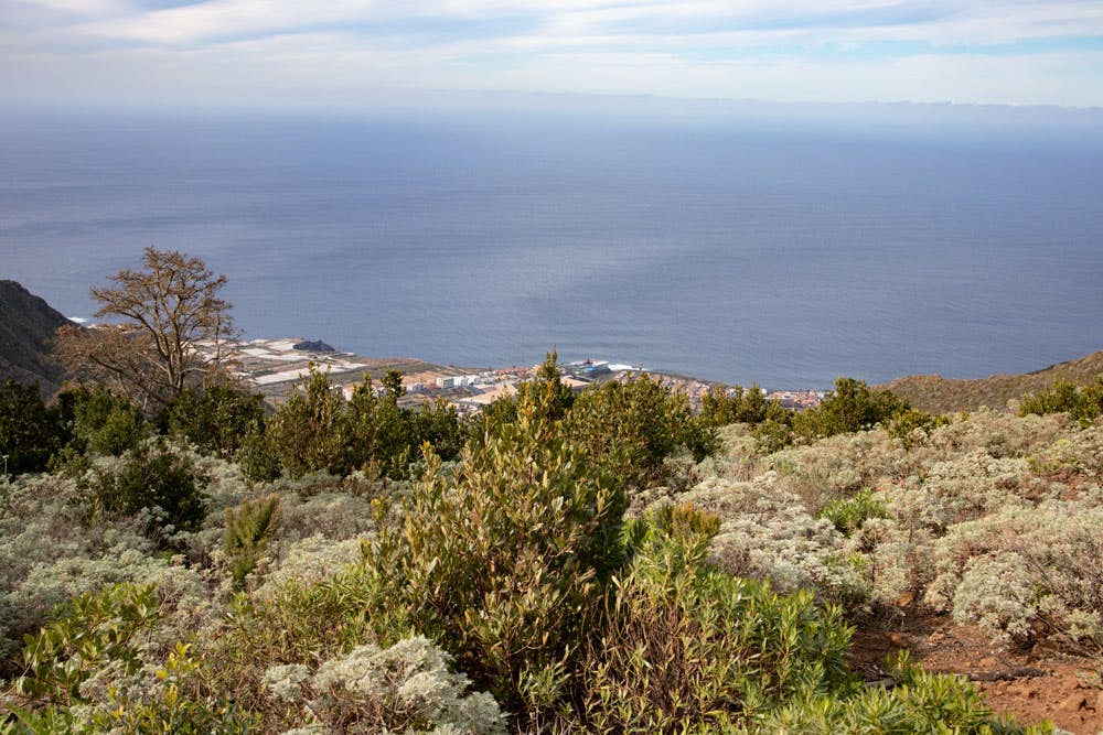 Blick von der Mesa de Tejina auf die Küste