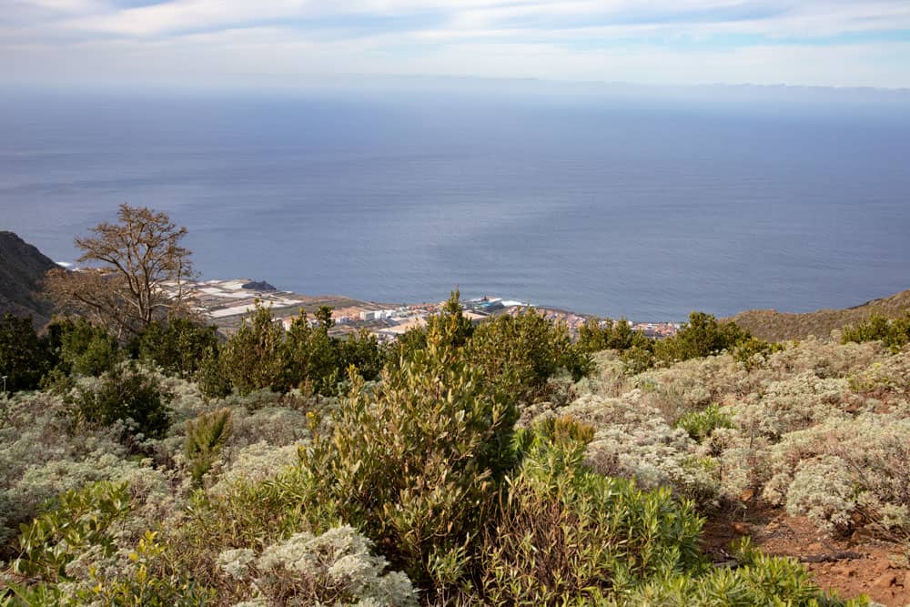 Vista de la costa desde la Mesa de Tejina