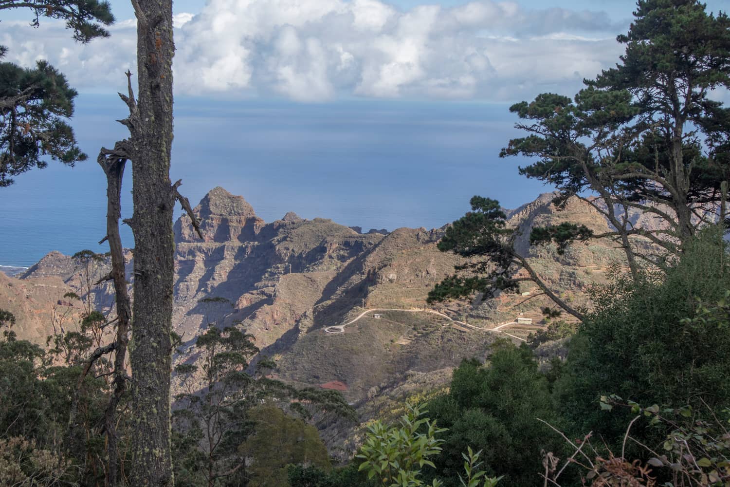 View from the forest path to the heights of the Anaga