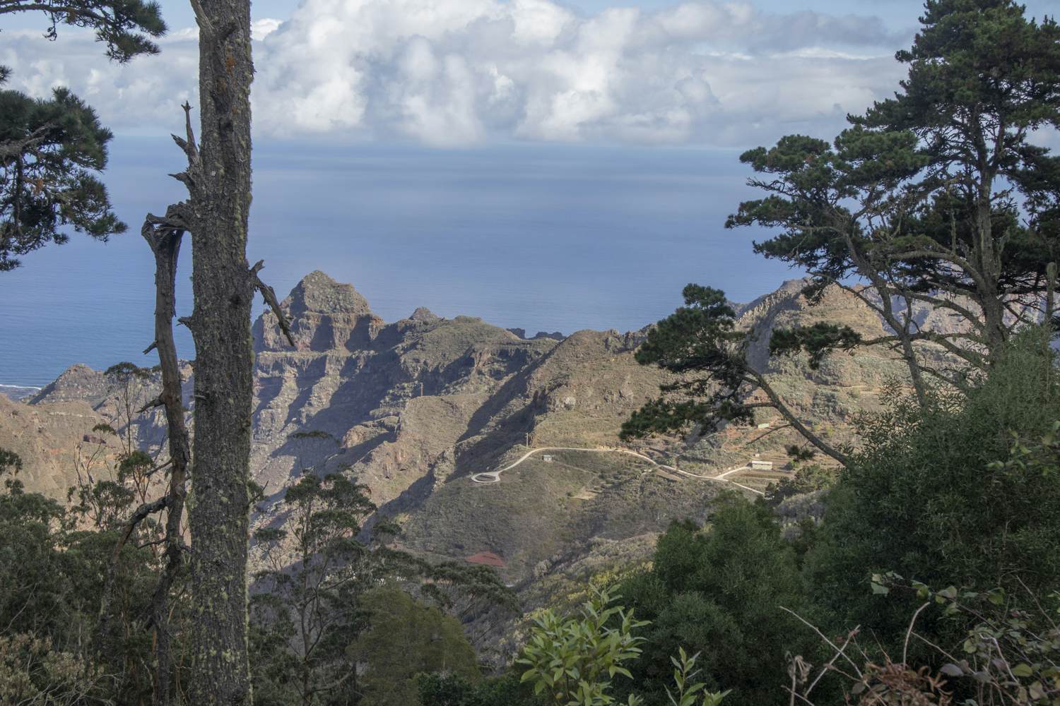 Vista de las alturas del Anaga desde la pista forestal