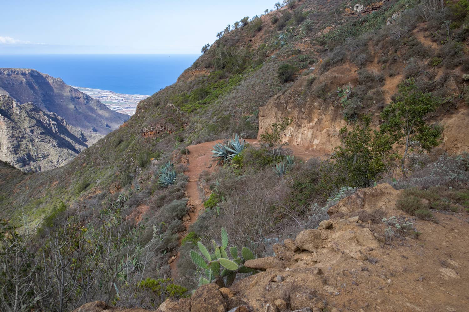 Senda de descenso bajo el Roque Moquinal