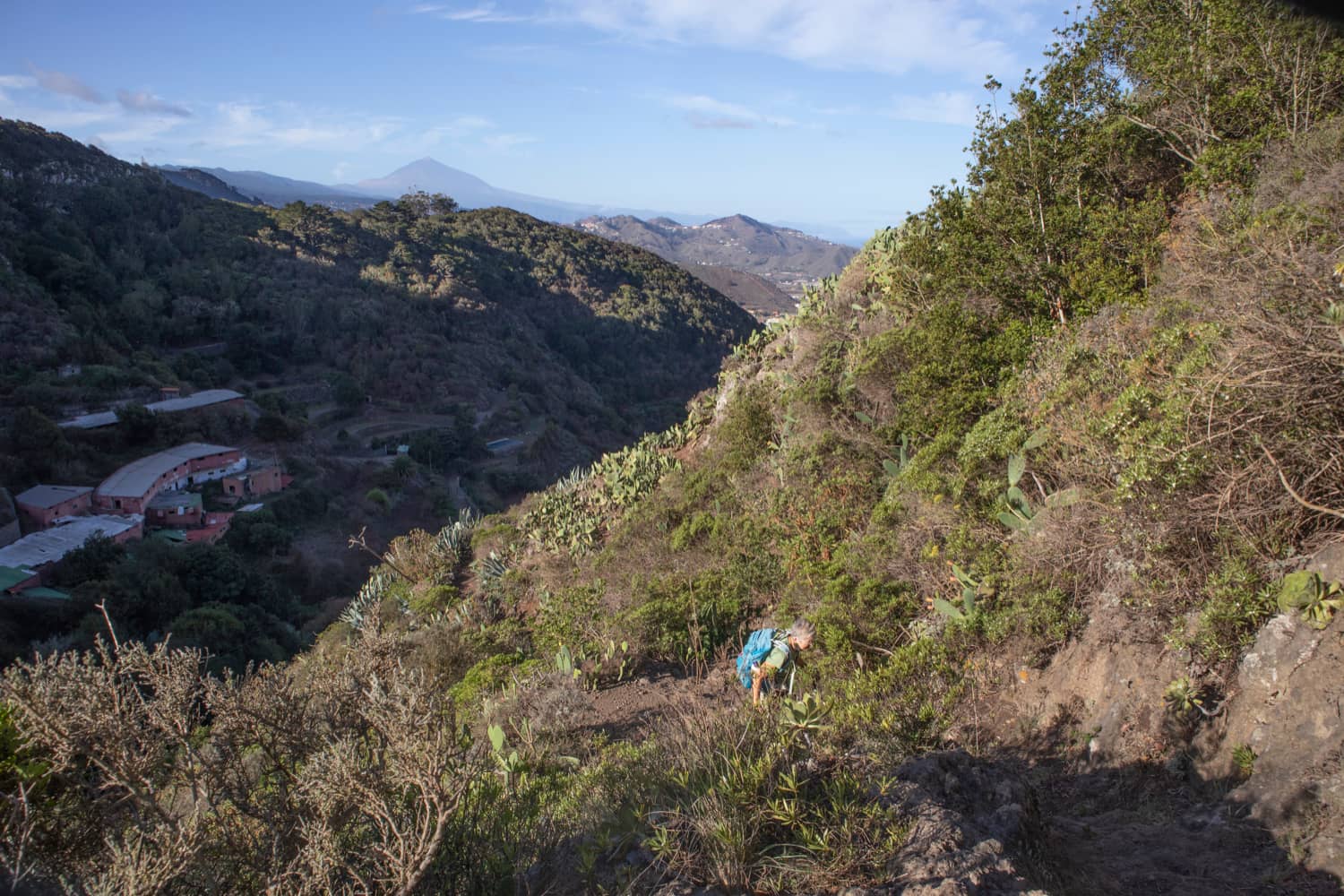 first steep climb over Tegueste