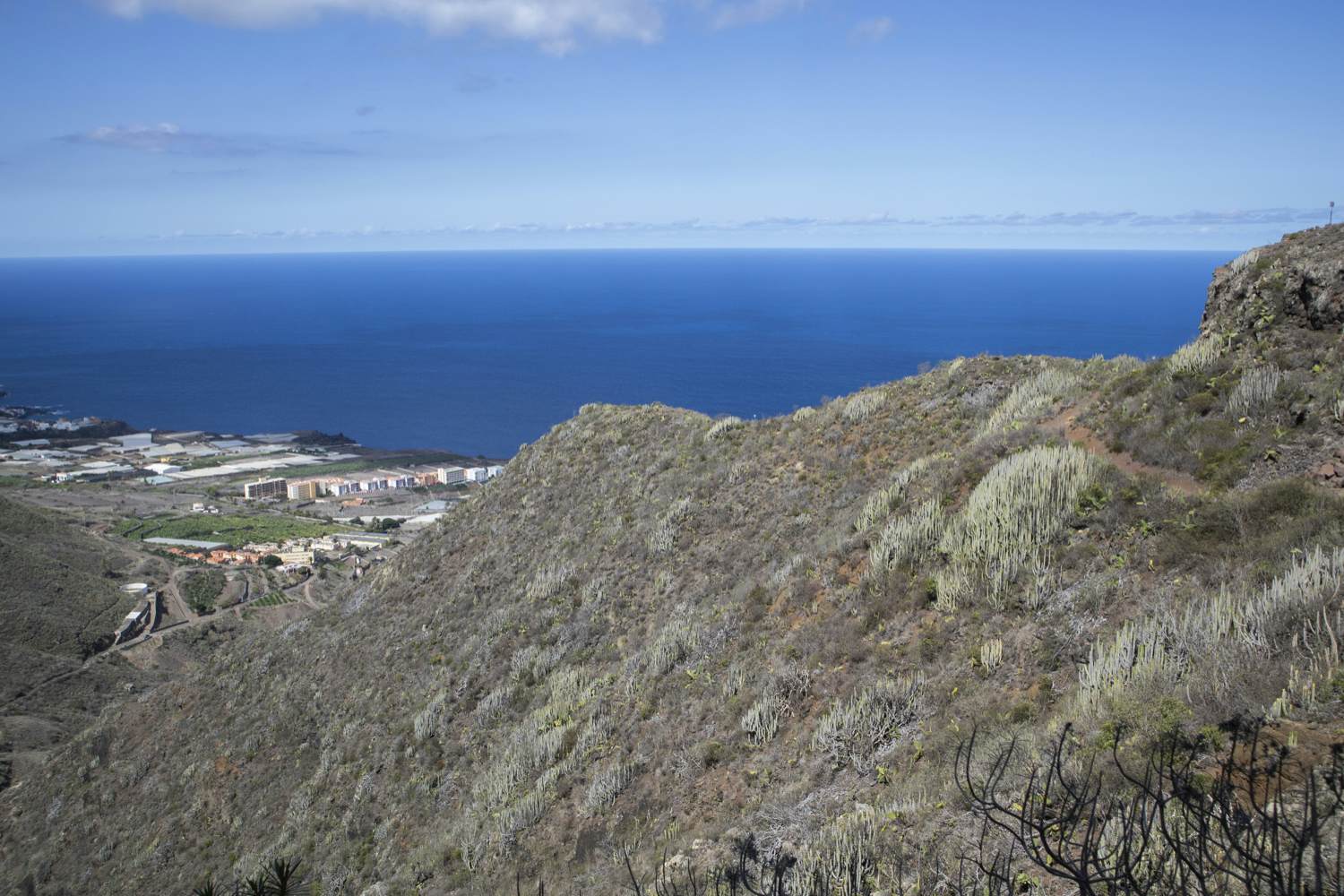 View of Bajamar