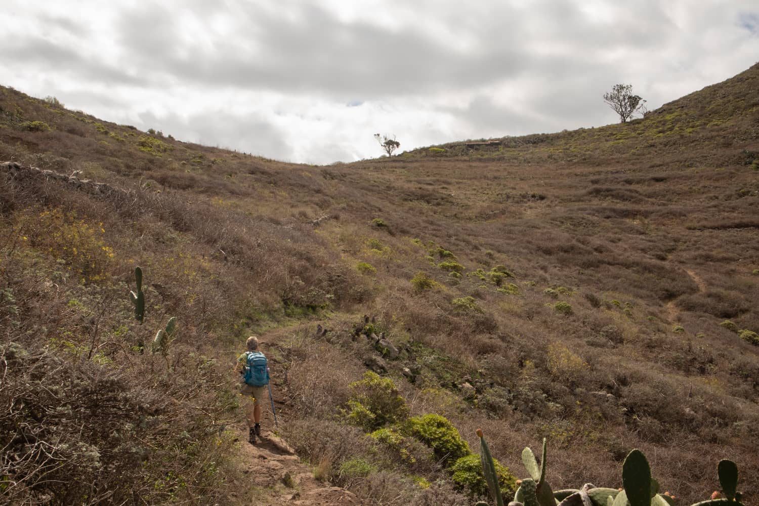 Ascenso a la silla de montar bajo la Mesa de Tejina