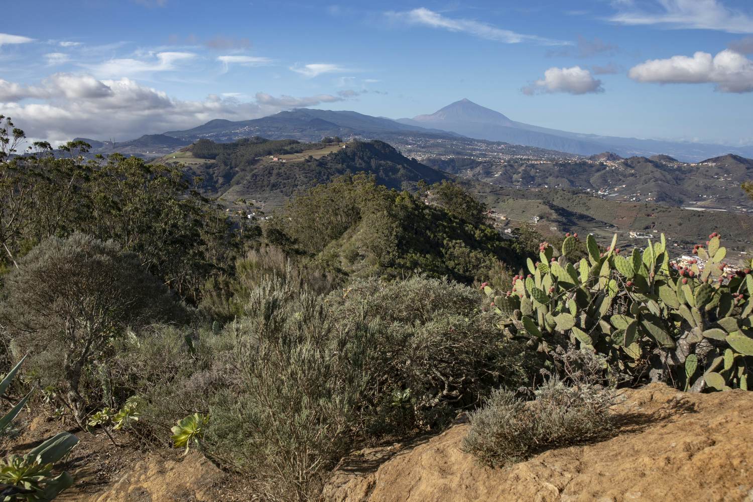 View of the Teide after the first ascent