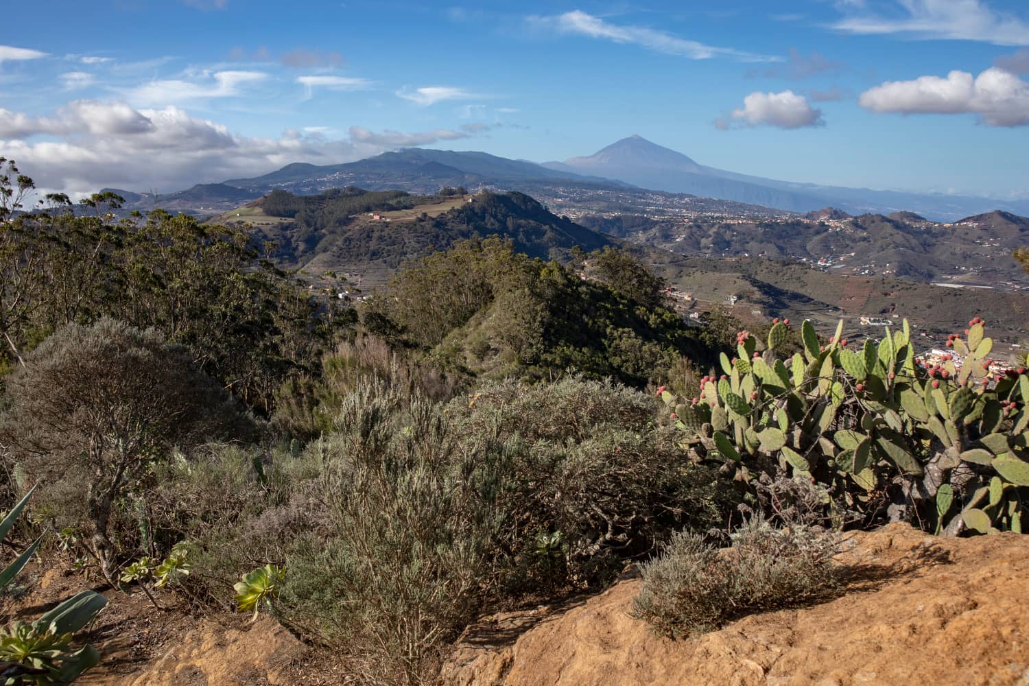 Vista del Teide tras la primera subida