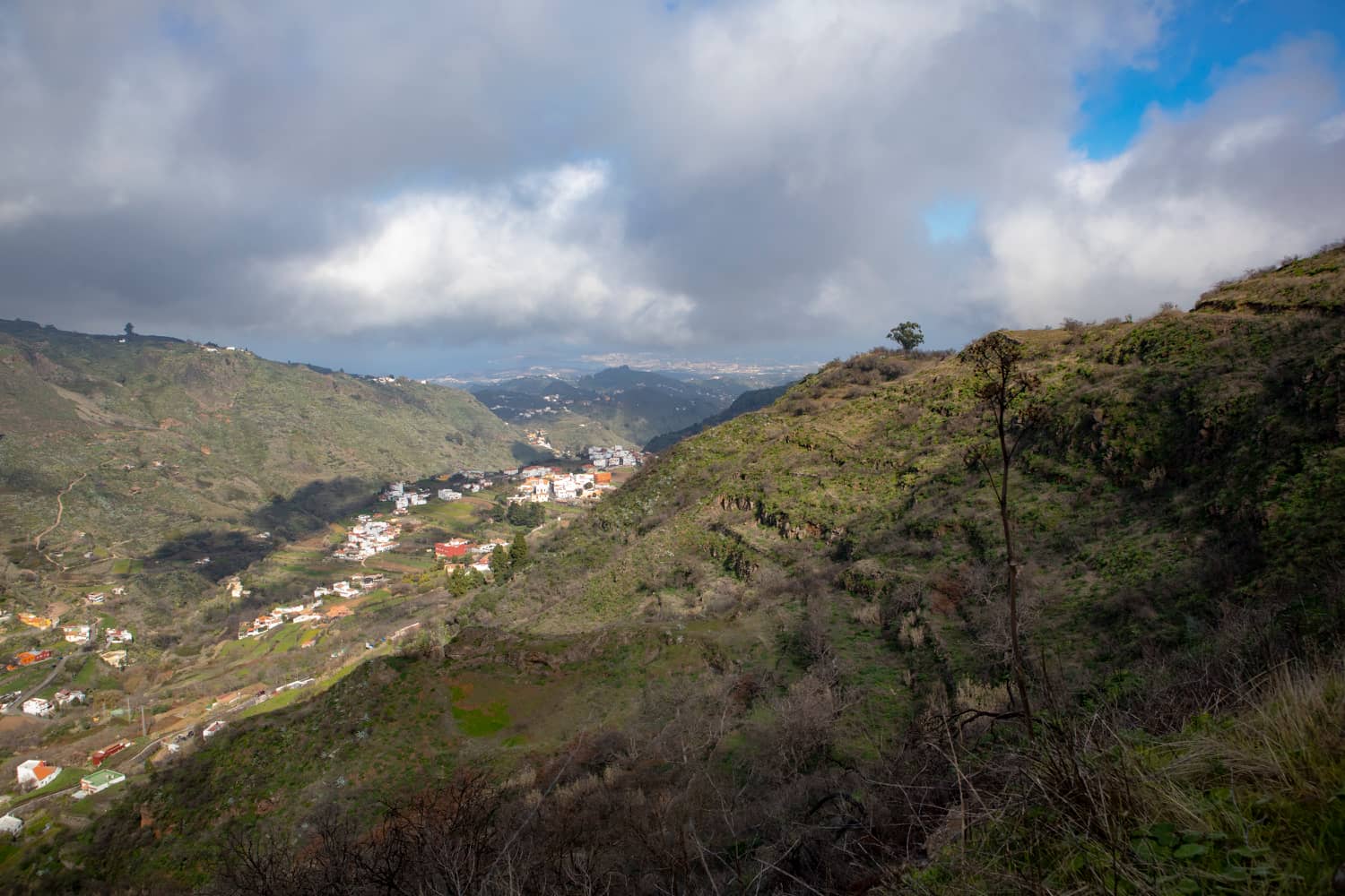 View from the height to the coast